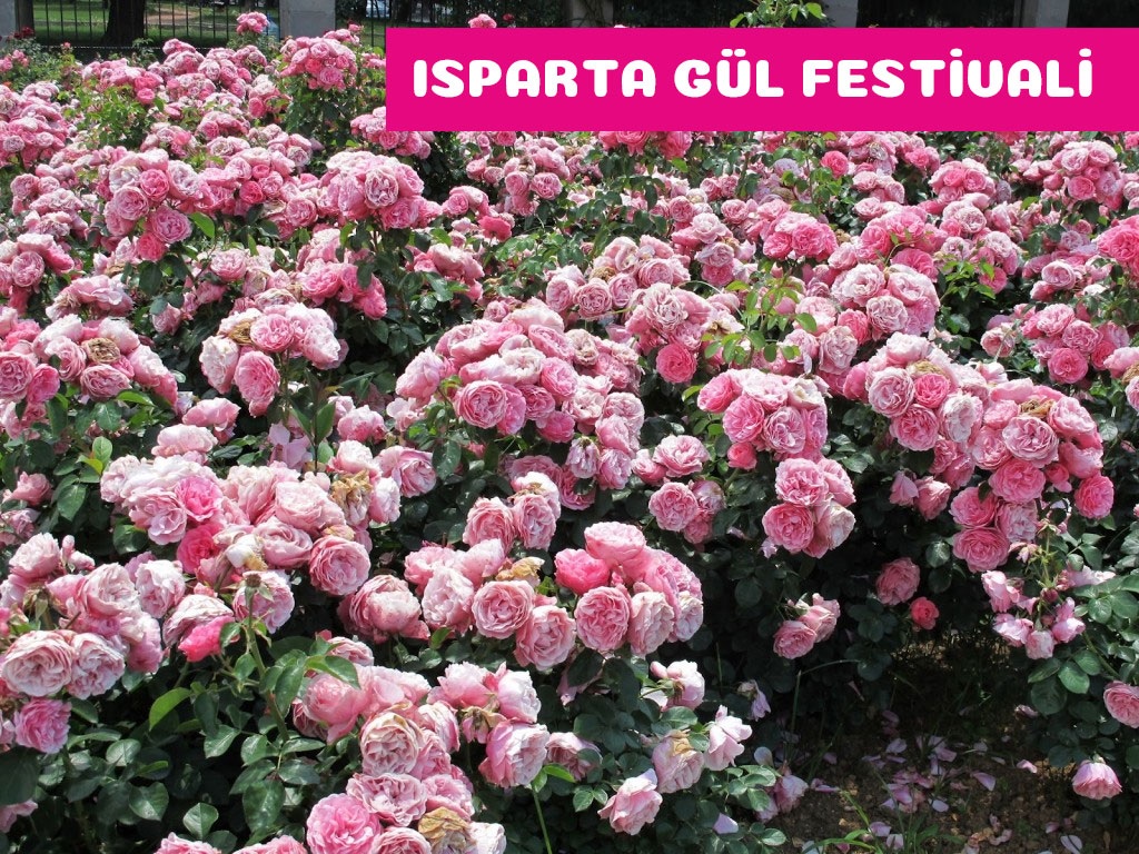 Isparta Gül Festivali Turu (Günübirlik)